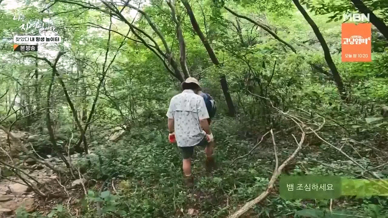 나는 자연인이다.E569.230831p-NEXT.mp4_20230831_201804.148.jpg
