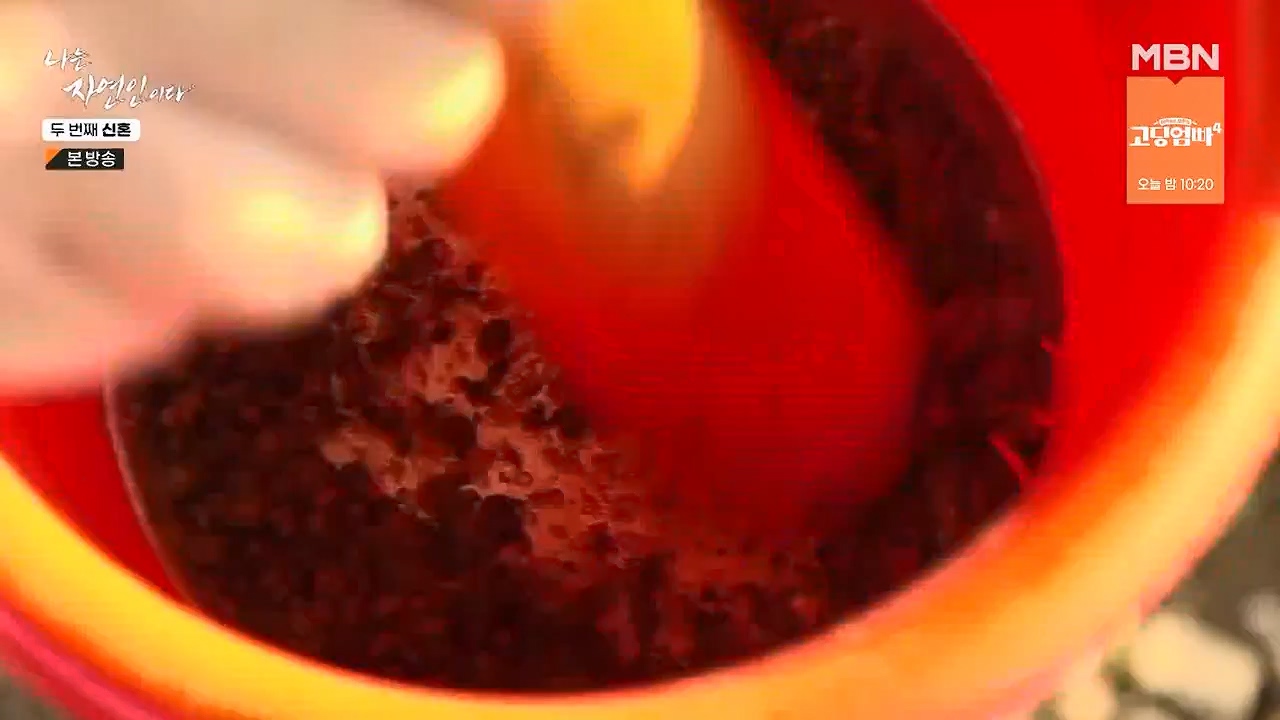 나는 자연인이다.E572.230921p-NEXT.mp4_20230921_202634.265.jpg