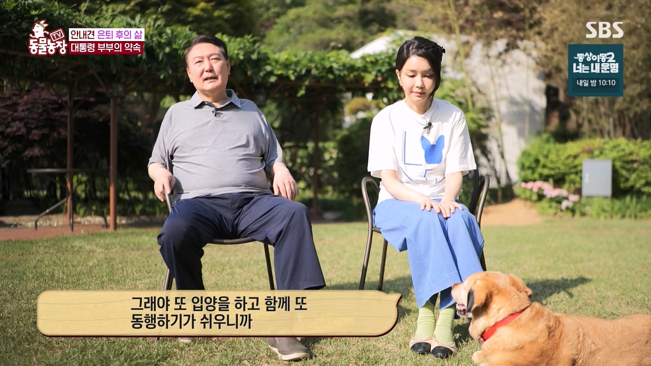 TV 동물농장.E1122.230529p-NEXT.mp4_20230528_170300.042.jpg