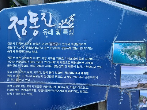  강릉 가볼만한곳 / 정동진 레이바이크 / 강릉 정동진 데이트