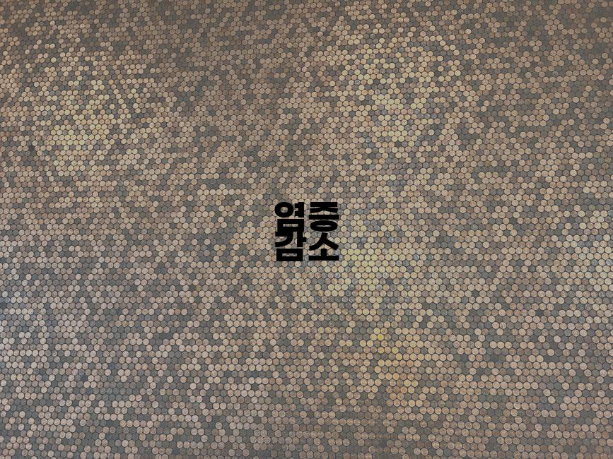 염증 감소
