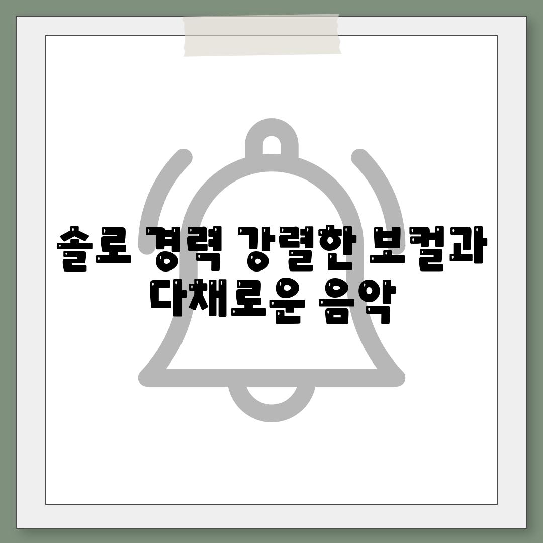 솔로 경력 강렬한 보컬과 다채로운 음악