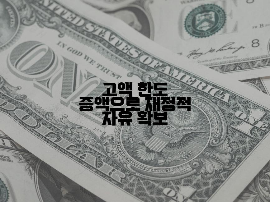 고액 한도 증액으로 재정적 자유 확보