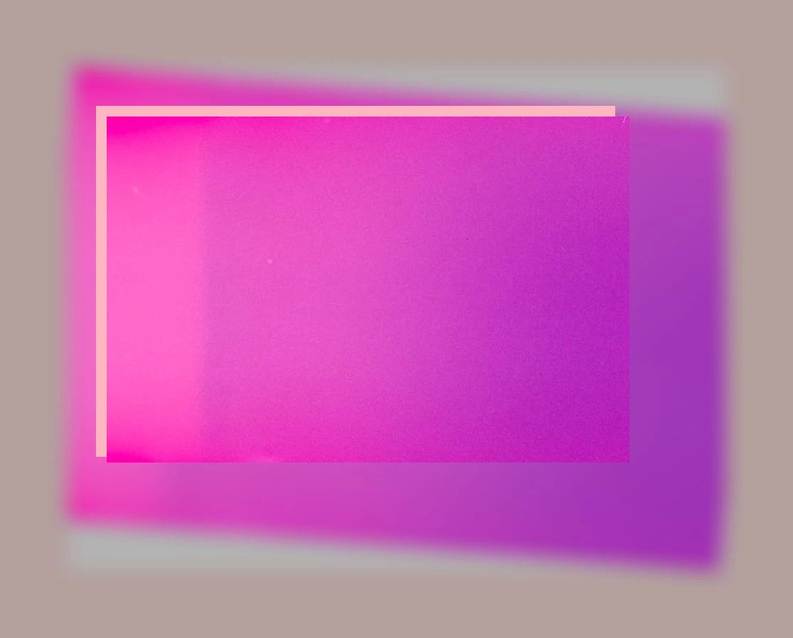 자색돼지감자_2_subsection
