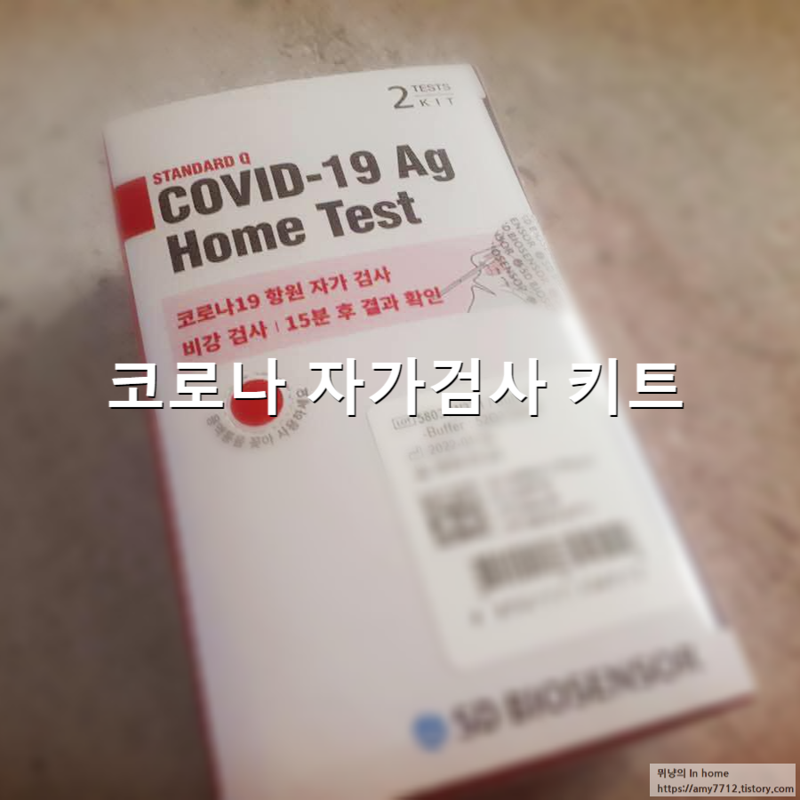  코로나 자가진단 키트 사용 후기(SD바이오센서 코로나 19 항원 자가 검사)