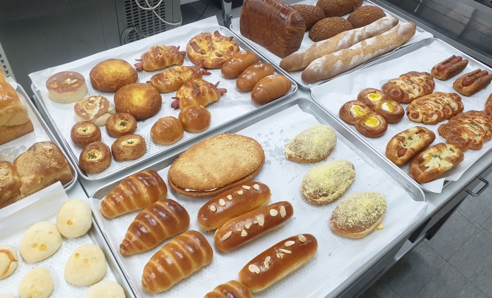 제빵기사 교육 후기 2022.01.14 뚜레쥬르 제빵기사 교육 후기 2022.01.14 뚜레쥬르