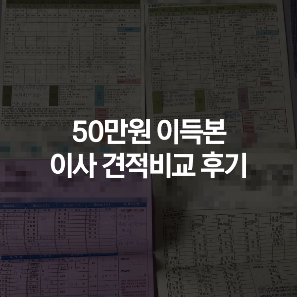 성남시 분당구 이사짐센터