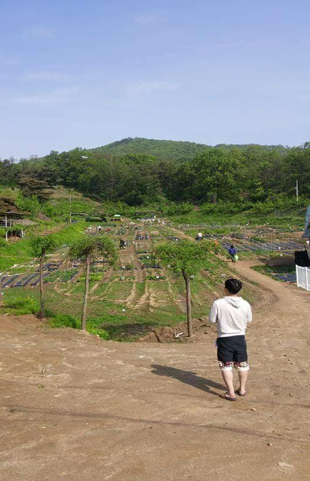 찬우물골주말농장