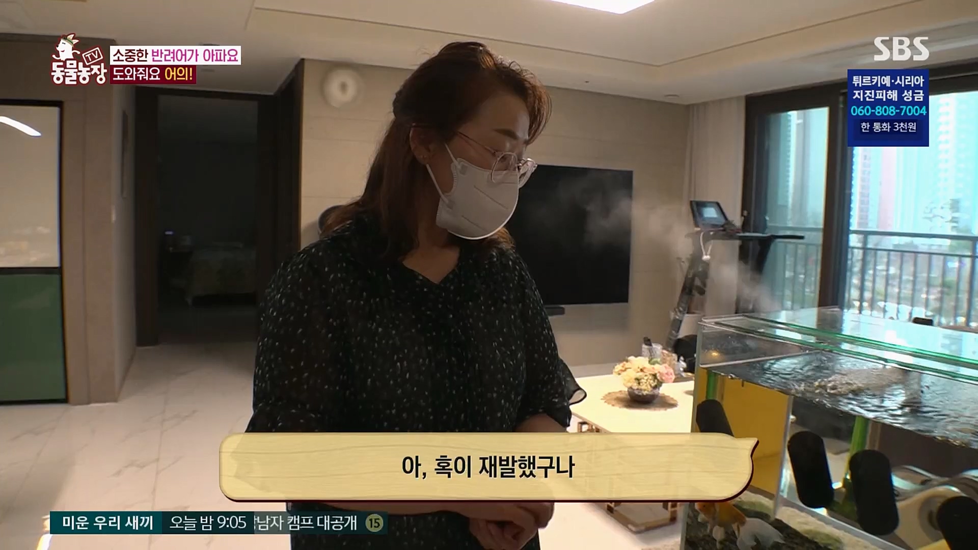 TV 동물농장.E1109.230219p.H264-F1RST.mp4_20230219_142840.479.jpg