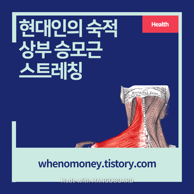  [어깨 목 스트레칭 방법] 뭉친 어깨, 뒷목 통증의 주범! 상부 승모근(Upper Trapezius, 등세모근) 스트레칭 하기!