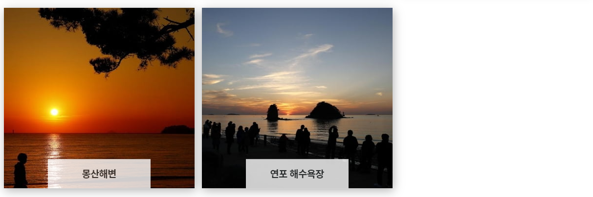 골든베이CC 주변 관광지