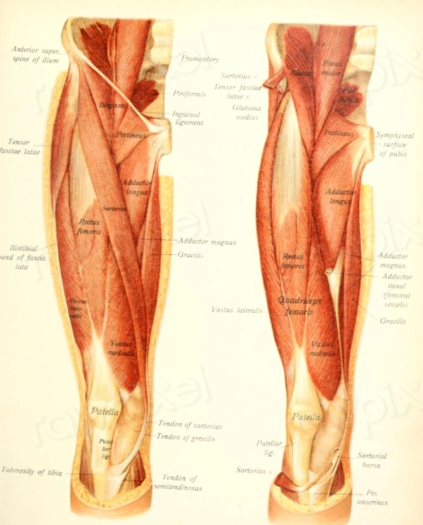 무릎 뒤쪽통증 치료