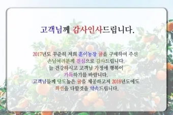 클라이언트 감사 인사 메시지 작성 방식으로 신뢰도를 높이는 완벽한 인사말 예시 5가지_16