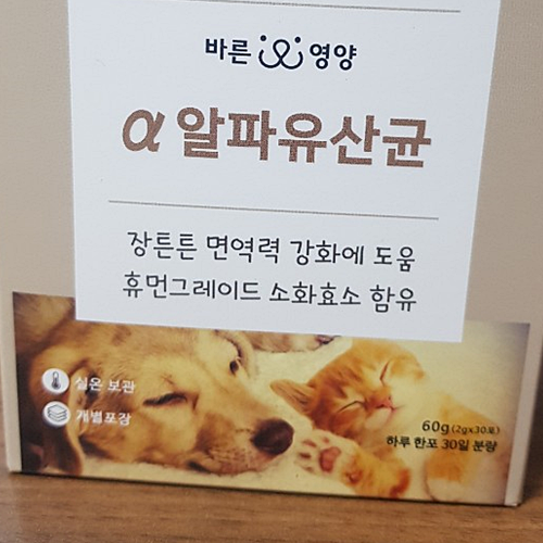  고양이간식 강아지간식 『 바른영양 알파유산균 』