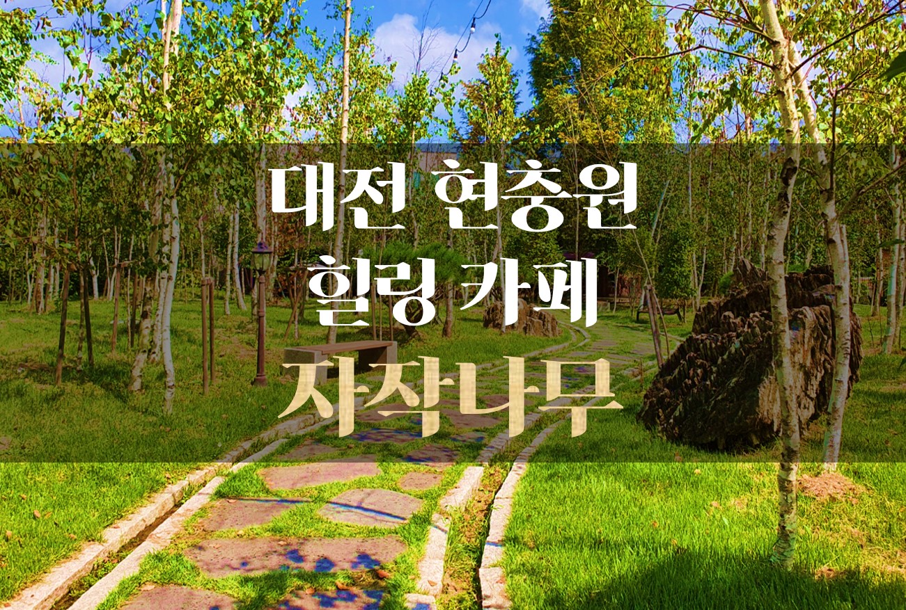  코로나 걱정없는 카페를 찾는다면? / 대전 현충원 자작나무 카페
