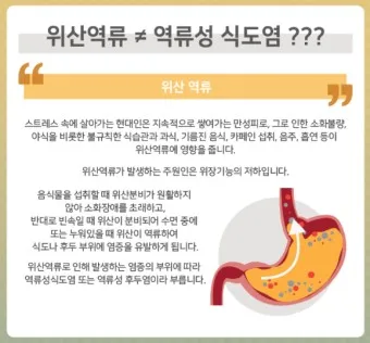 식도염에 좋은 음식 안좋은 음식_14