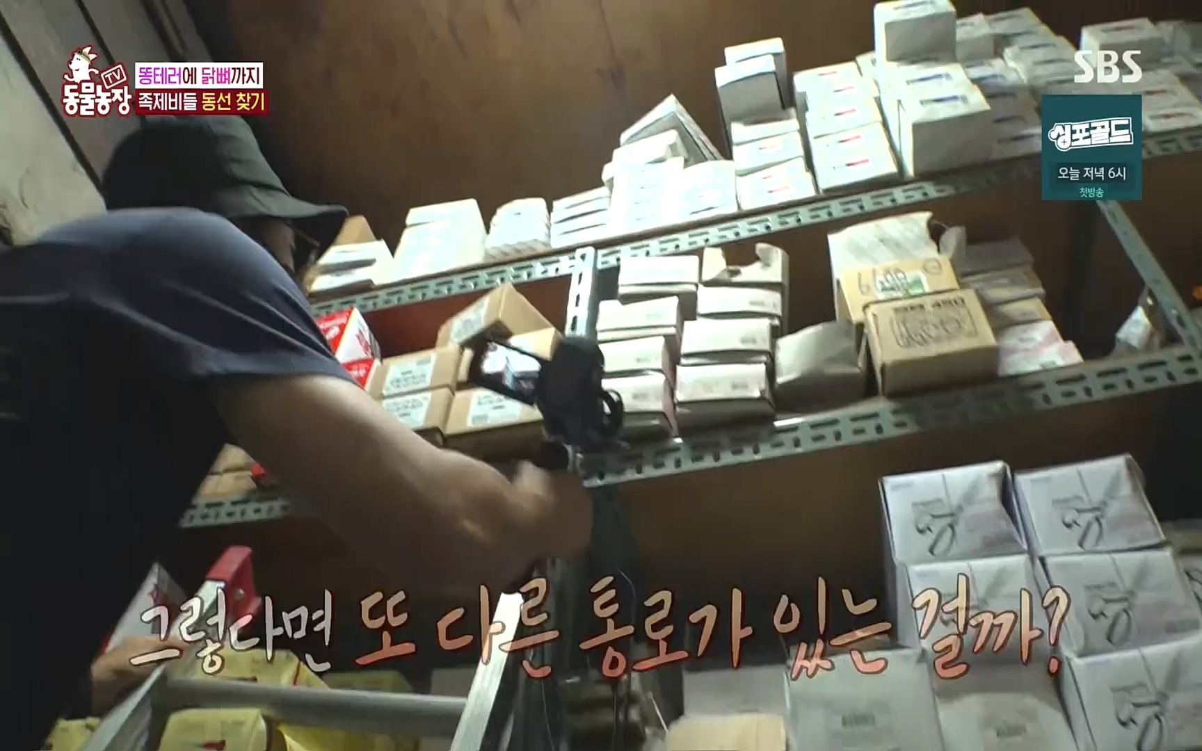 TV 동물농장.E1088.220925p.H264-F1RST.mp4_20220925_174400.949.jpg