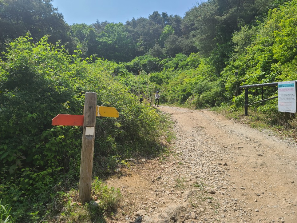 흑약 100대 지리산 바라봉 최단 등산코스 8