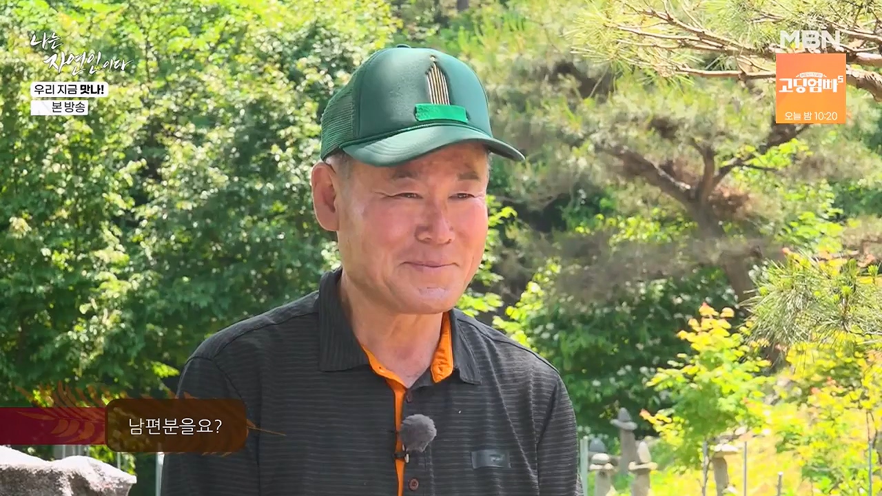나는 자연인이다.E609.240613p-NEXT.mp4_20240613_195115.510.jpg