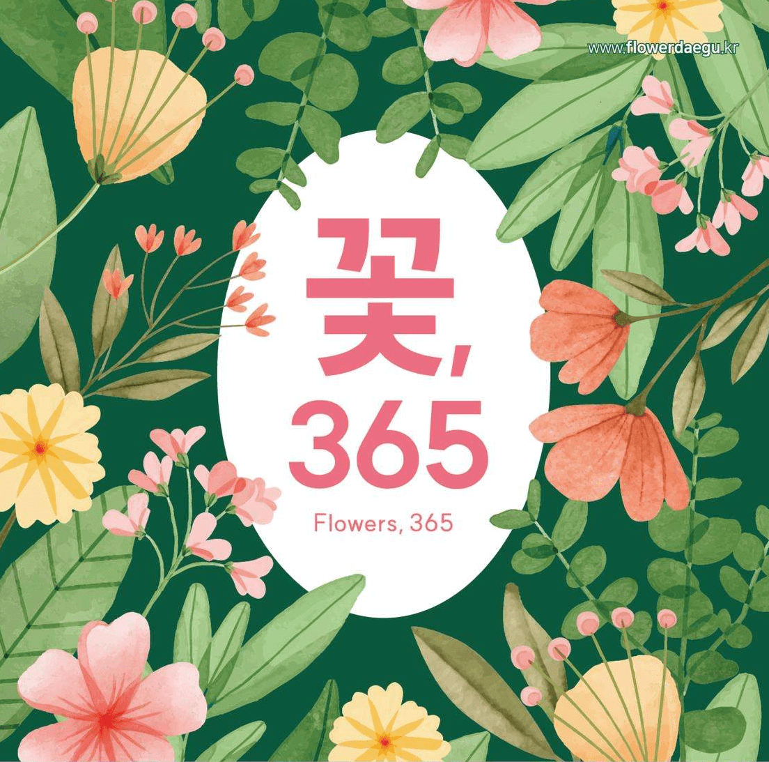 꽃 365