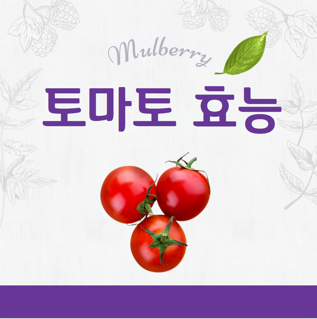 토마토 효능 썸네일