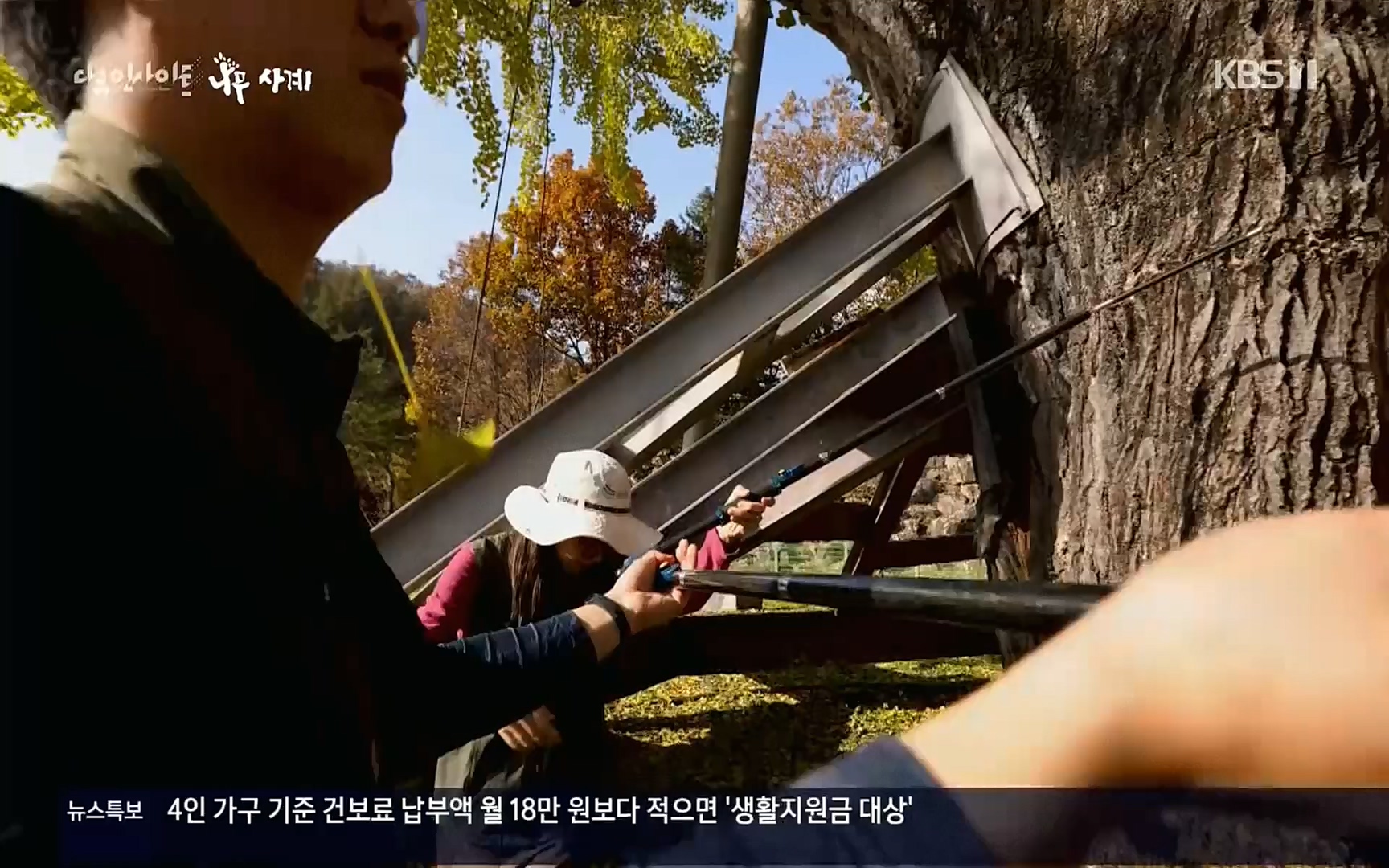 다큐 인사이트.E124.220908p.H264-F1RST.mp4_20220912_143721.137.jpg