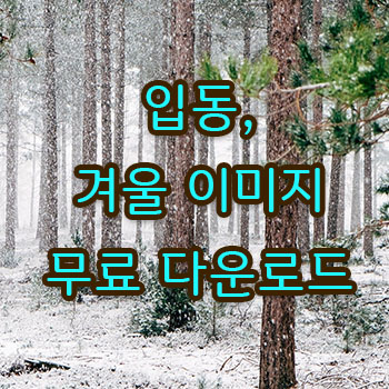  smarti,스마트아이