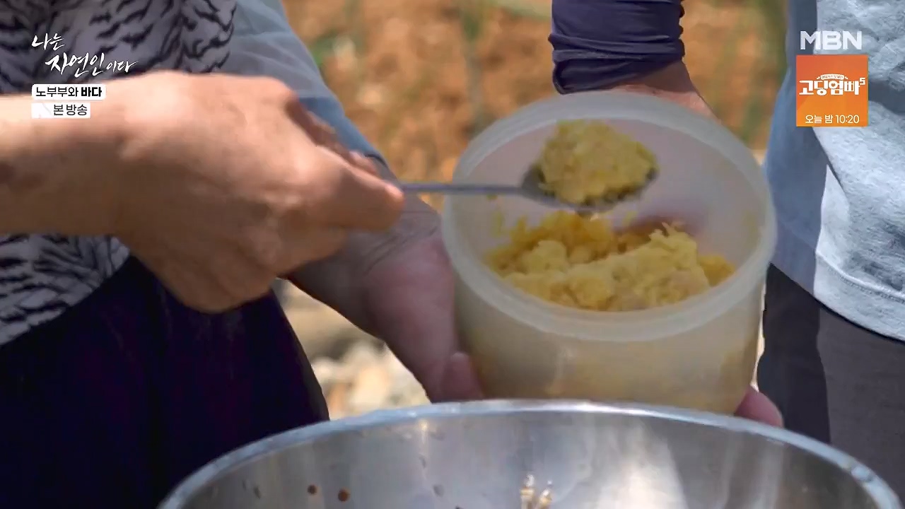 나는 자연인이다.E610.240620p-NEXT.mp4_20240620_194749.163.jpg