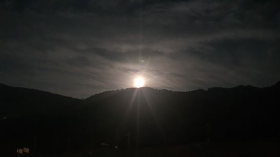 블루문