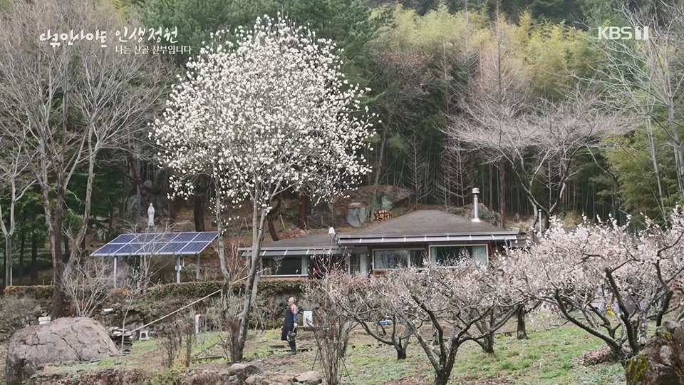 다큐 인사이트.E153.230608p.H264-F1RST.mp4_20230612_204537.146.jpg