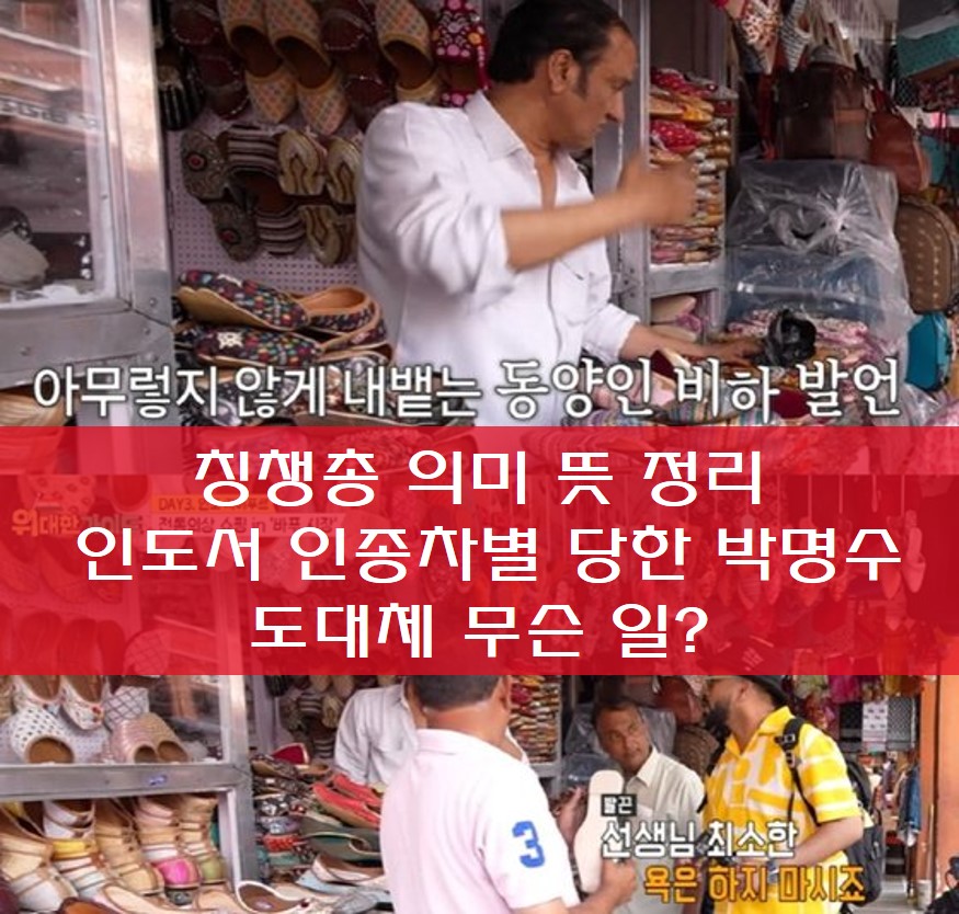  칭챙총 칭쳉총 의미 뜻 정리 , 인도서 인종차별 당한 박명수 도대체 무슨 일?