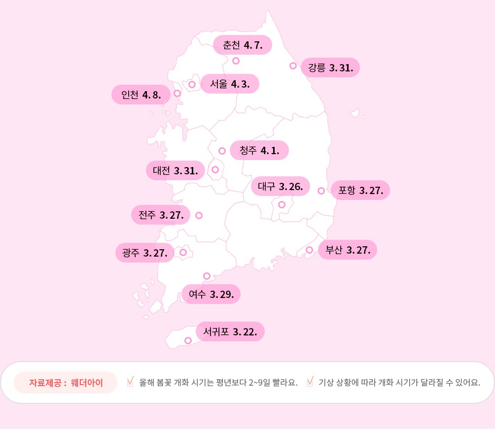 전국 벚꽃 개화 시기