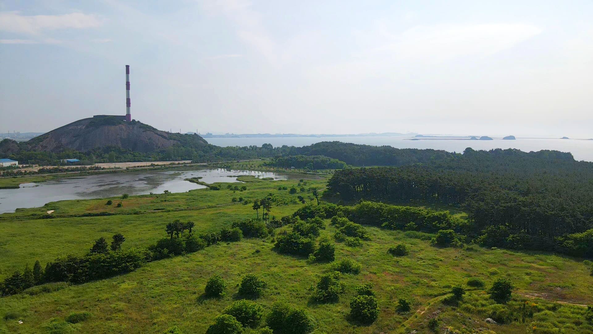 전망산 뒤로 장항송림 산림욕장이 보인다