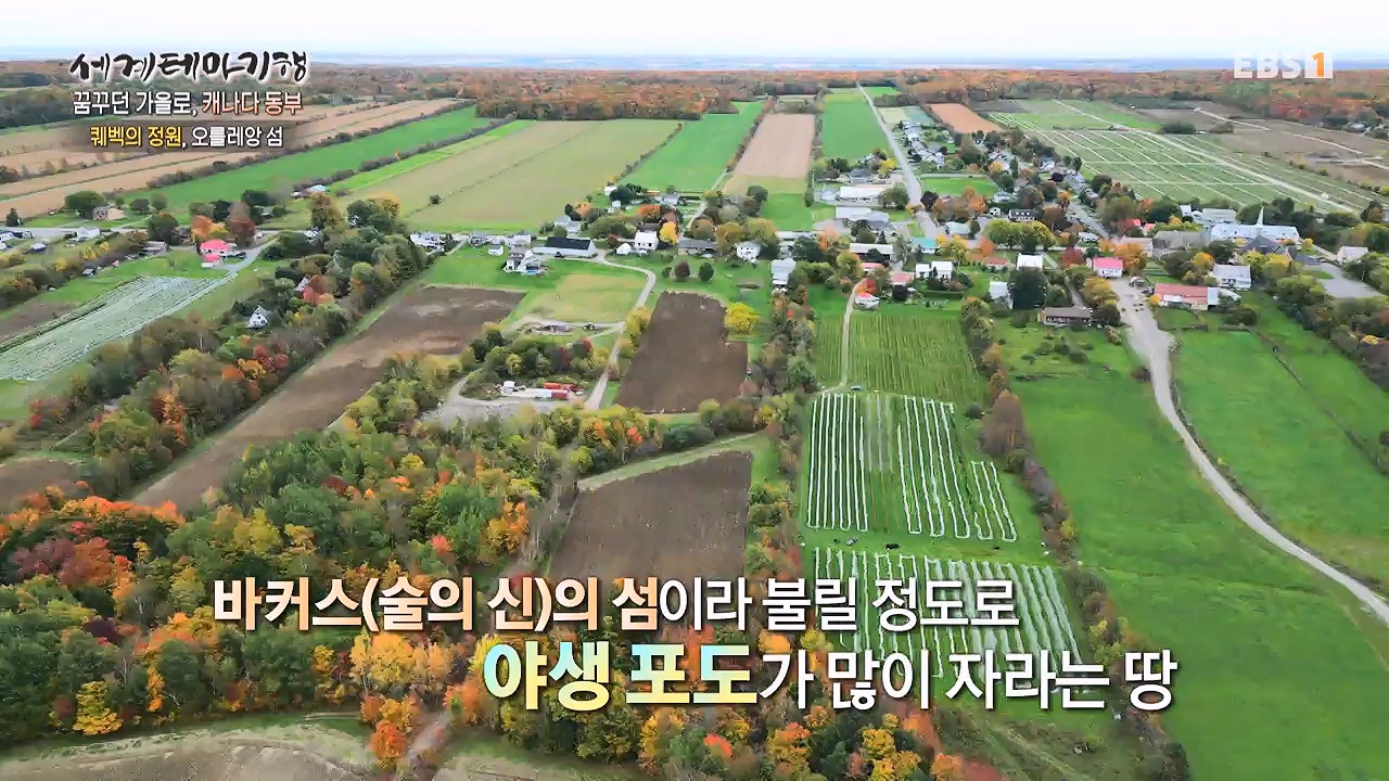 세상의모든기행꿈꾸던 가을로 캐나다 동부-다시 올 이유, 단풍국.mp4_20231127_205044.995.jpg