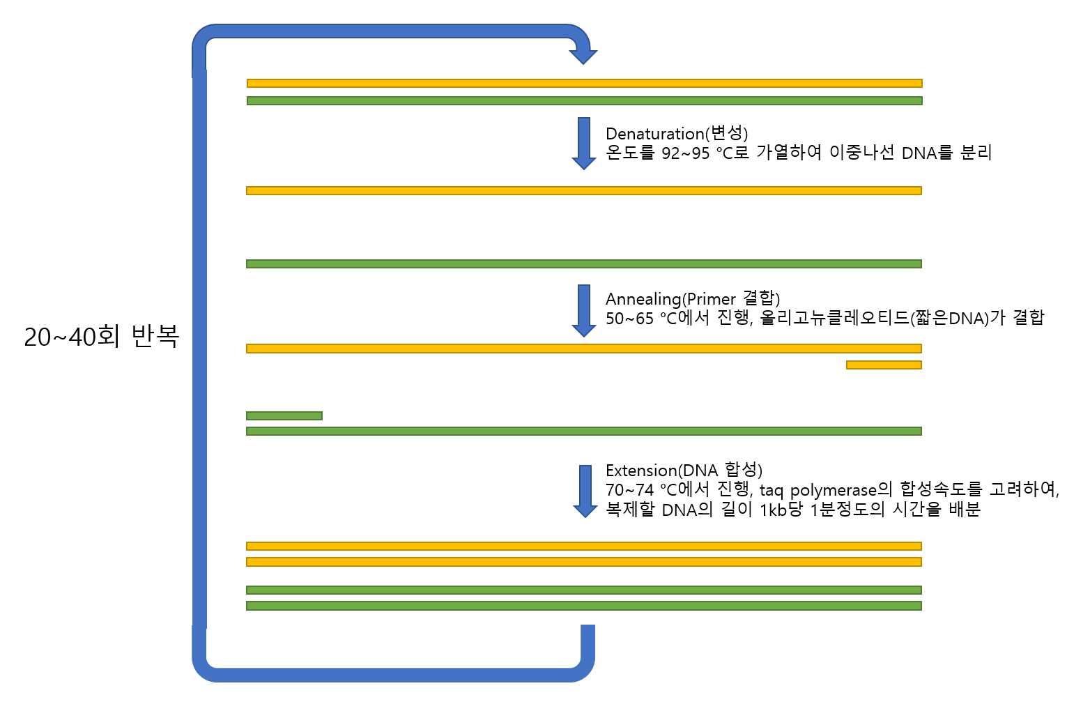chronozone 티스토리