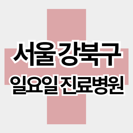 서울강북구_일요일진료병원_썸네일