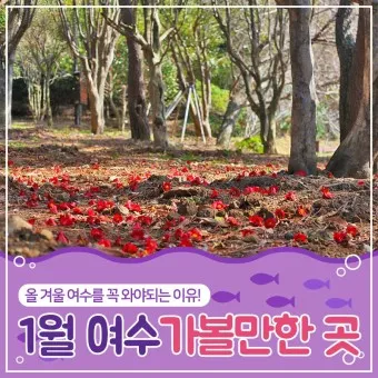 겨울 여수 가볼만한곳 베스트10 현지인 추천 필수코스_2