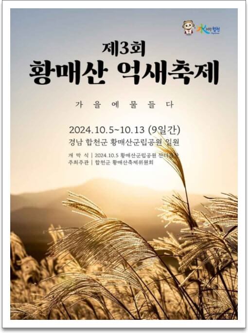 억새 축제