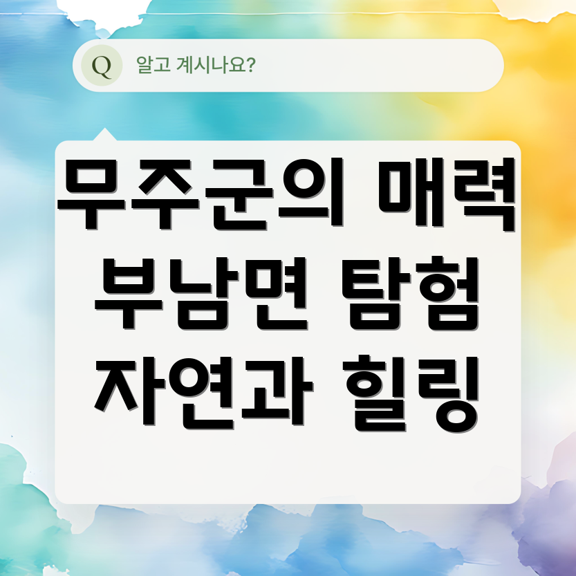 초등학생 과외