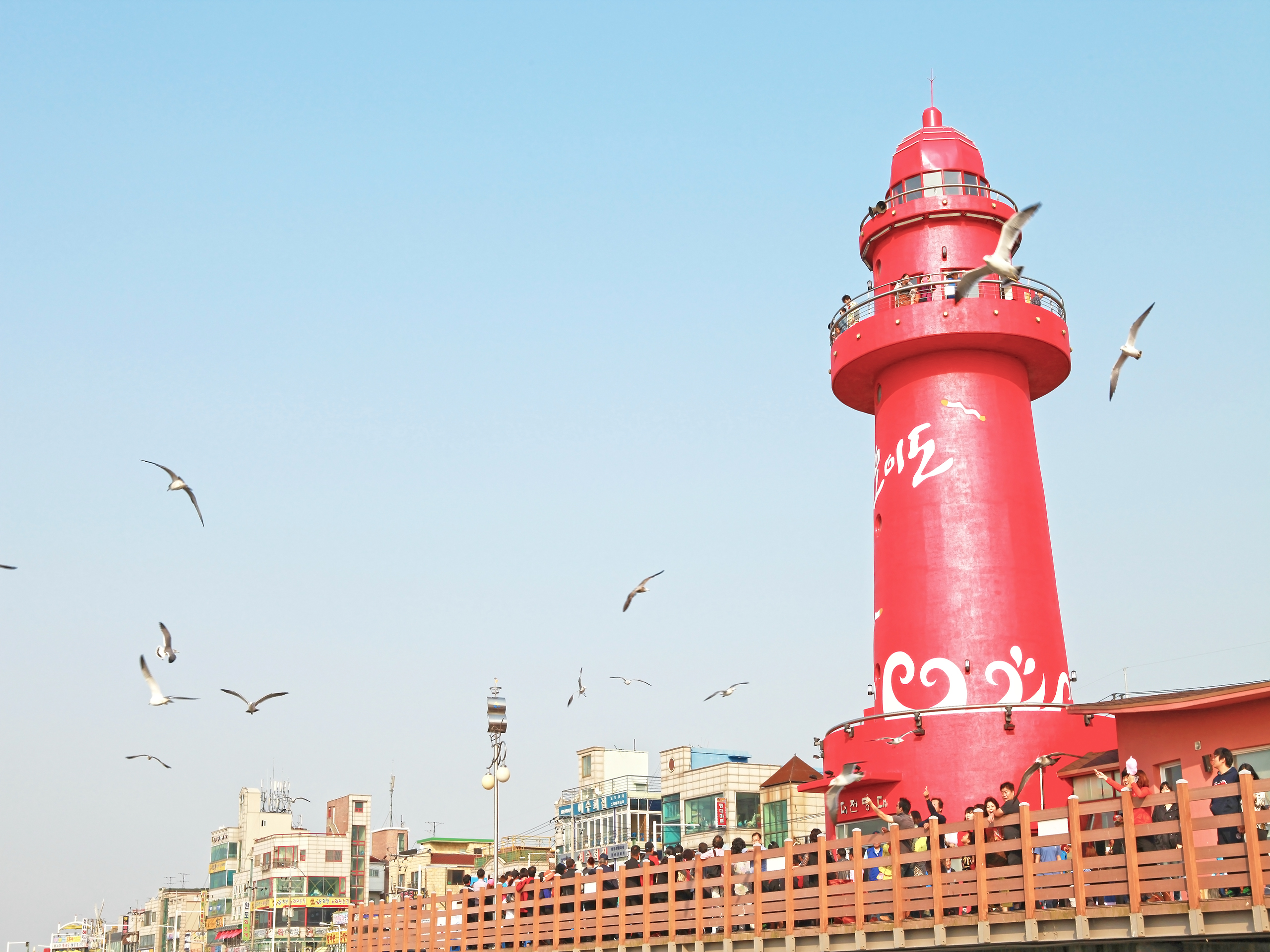 오이도 7