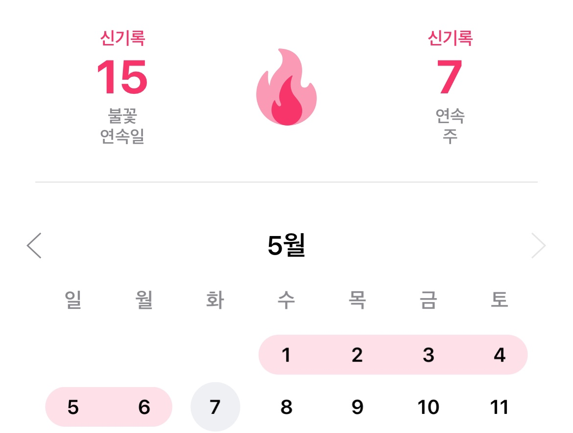  와 진짜 꾸역꾸역 한 날