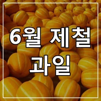 6월 제철 과일 추천 여름 과일 종류_2