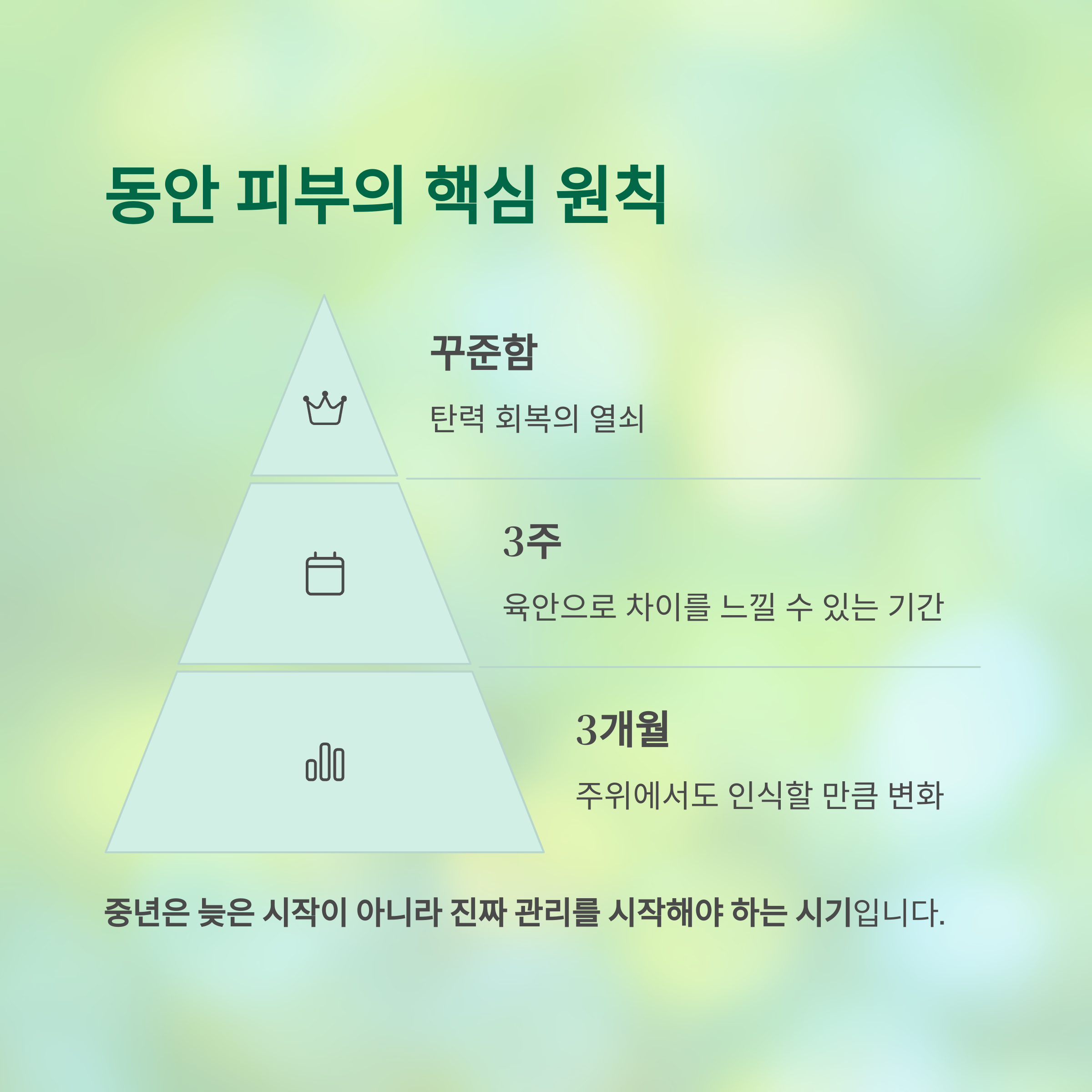 주름을 되돌리다: 중년 피부 탄력 회복의 과학적 비밀 - 중년에도 가능한가요? 주름을 줄이고 탄력을 되찾는 법 - 주름 없는 동안 피부를 위한 핵심 원칙 주름을 되돌리다: 중년 피부 탄력 회복의 과학적 비밀 - 중년에도 가능한가요? 주름을 줄이고 탄력을 되찾는 법 - 주름 없는 동안 피부를 위한 핵심 원칙