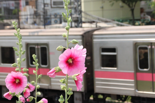 서울-지하철-1호선노선도-크게-보기