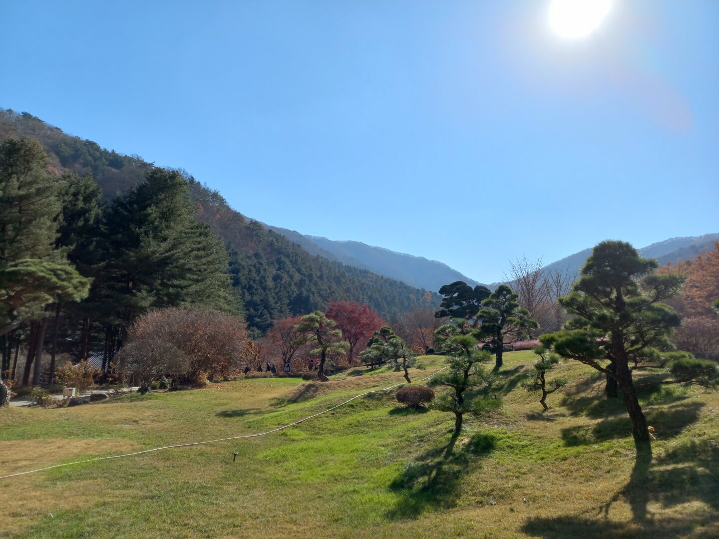 아침고요 수목원 오색별빛정원전 입장료