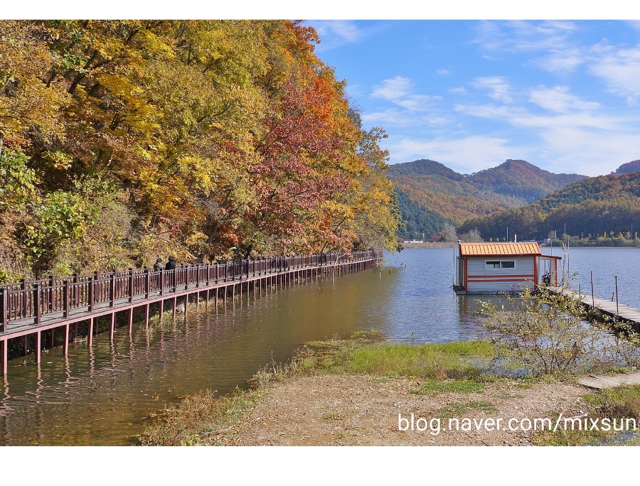 단풍구경 가볼만한 곳 괴산 가볼만한곳 14