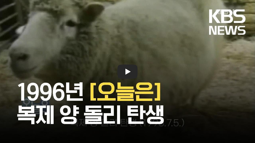  복제양 돌리 탄생 그리고 갑작스런 죽음, 신의 영역에 도전하는 인간에 대한 경고일까?! / 역사 속 오늘의 사건(2022.11.11)