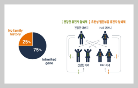 유전성-혈관부종이-유전확률-50%라는-설명이-있는-표-사진