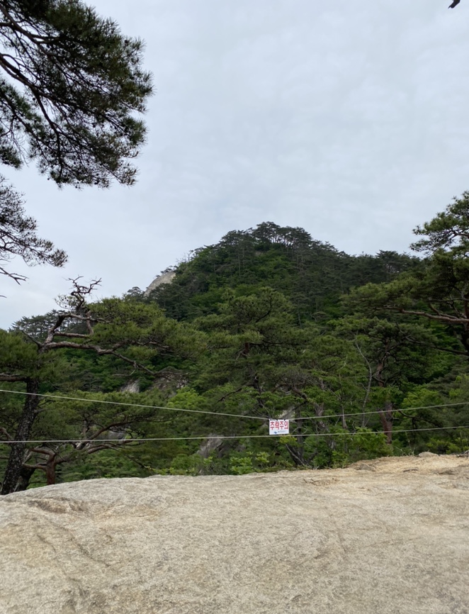 여름산으로 추천하는 괴산 칠보산(778m) 숲속을 거니는 듯 시원해 7