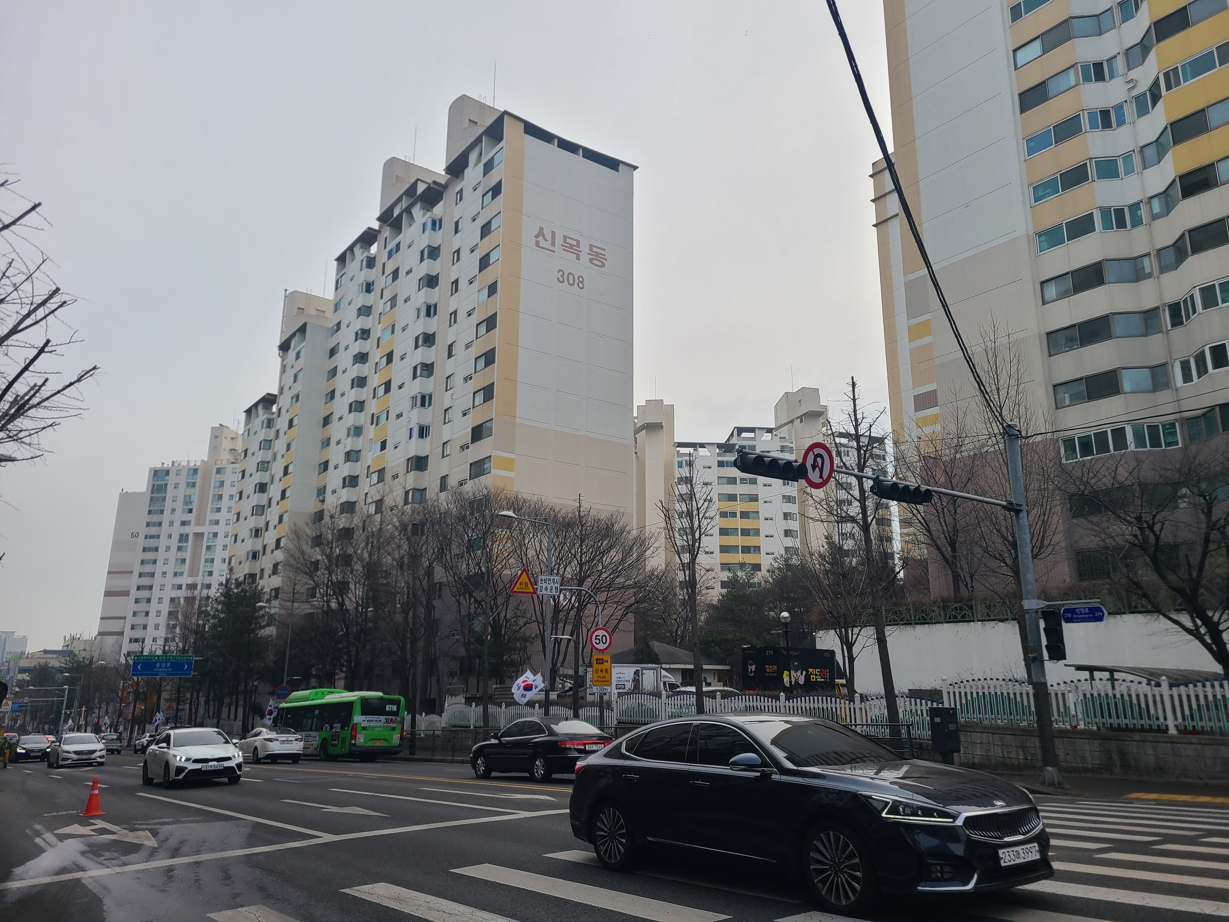 신트리